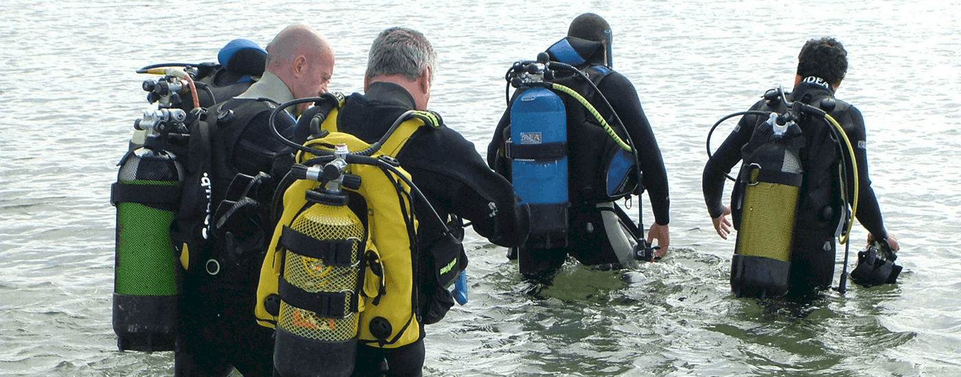 Lean to dive with us!